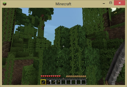 Minecraft in Survival Mode